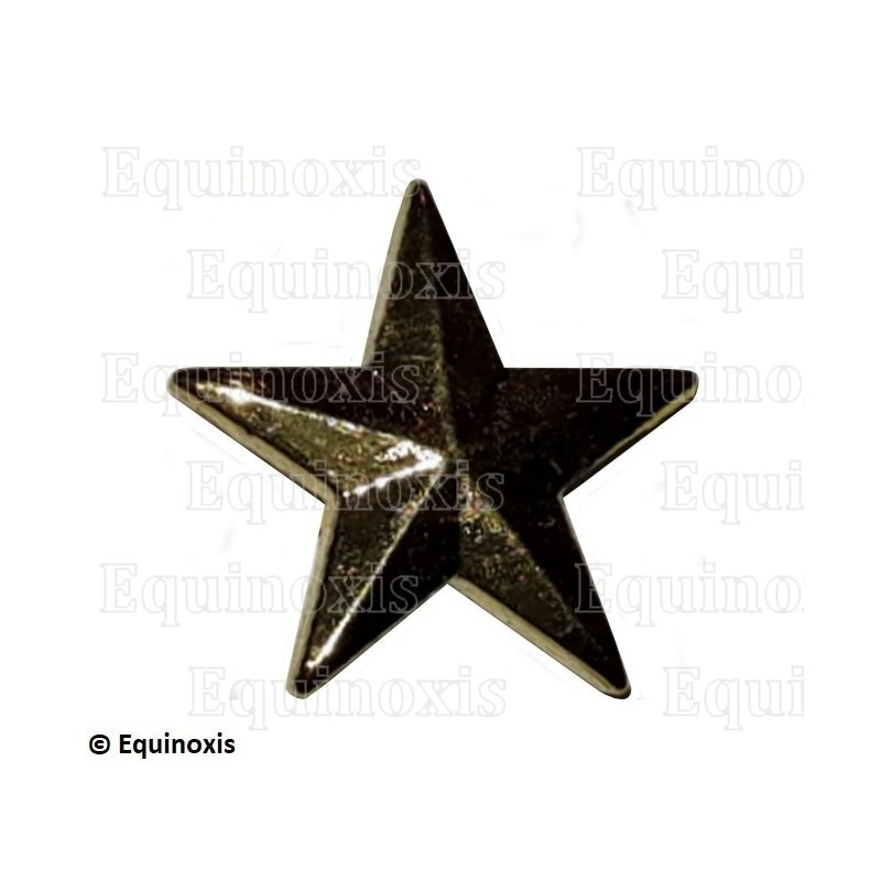 Masonic lapel pin – French Chapter – 5ème Ordre