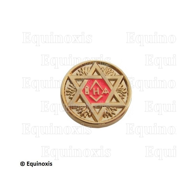 Masonic lapel pin – Saint Andrew's Master cross