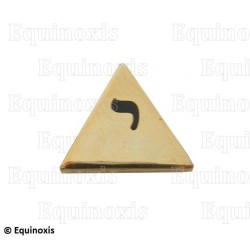 Masonic lapel pin – Lost Word