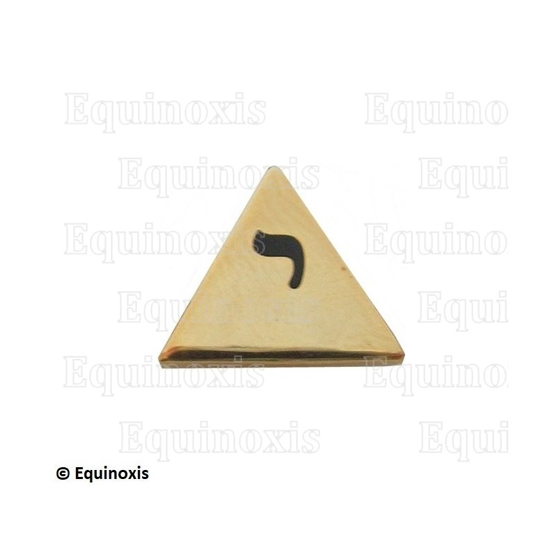 Masonic lapel pin – Lost Word