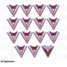 Masonic collars – Mark degree – Set de 14 Officiers – Cocarde tricolore – Couleurs françaises