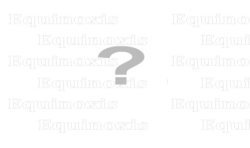 Gants maçonniques jaunes – Size XXXL