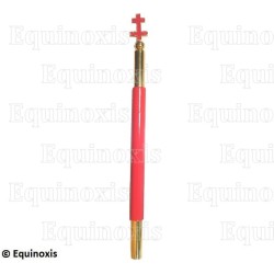 Bâton de Prieur – Knights Templar (KT)
