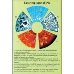 Planche iridologie – Petit modèle