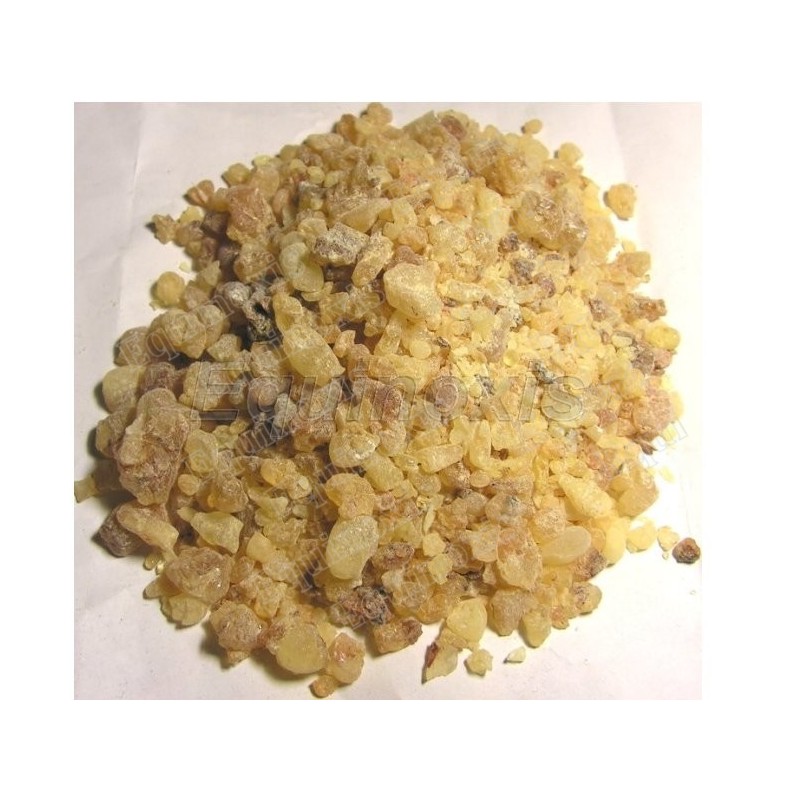 Mastic – 50 g