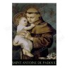 Christian magnet – Saint Anthony of Padua