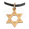 Jewish pendant – Star of David – Gold 1
